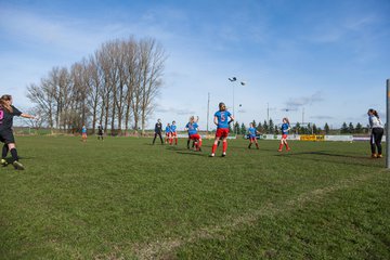 Bild 263 - C-Juniorinnen SV Steinhorst/Labenz - TSV Friedrichsberg-Busdorf : Ergebnis: 5:0